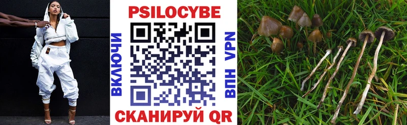 Купить  Фёдоровский  Галлюциногенные грибы Psilocybine cubensis 